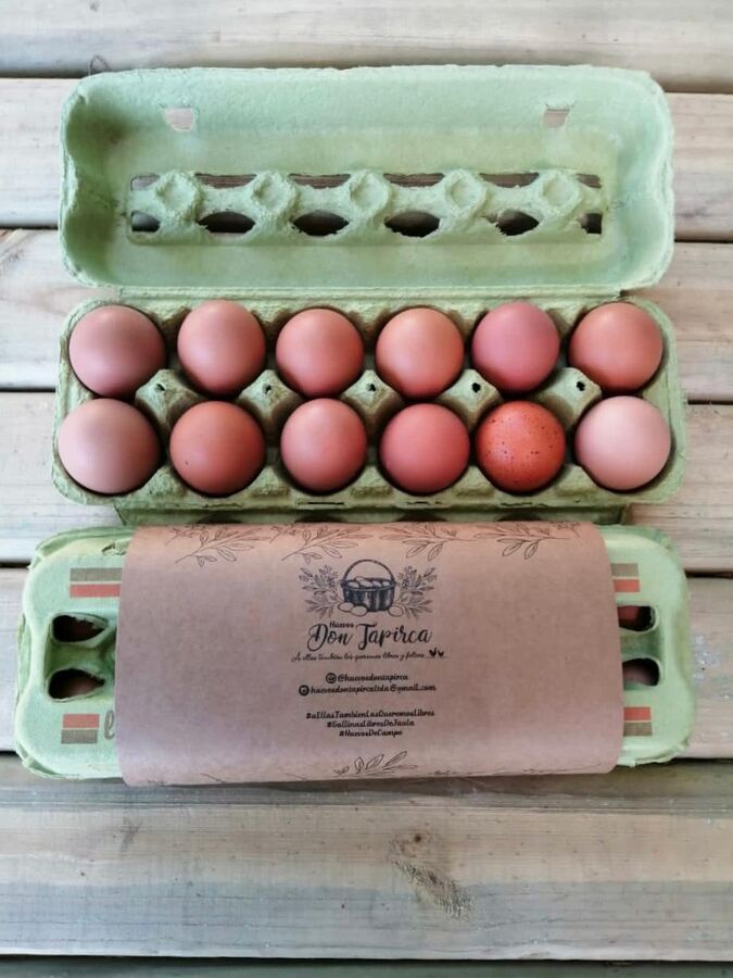 Cubeta de una docena de huevos Don Tapirca abierta
